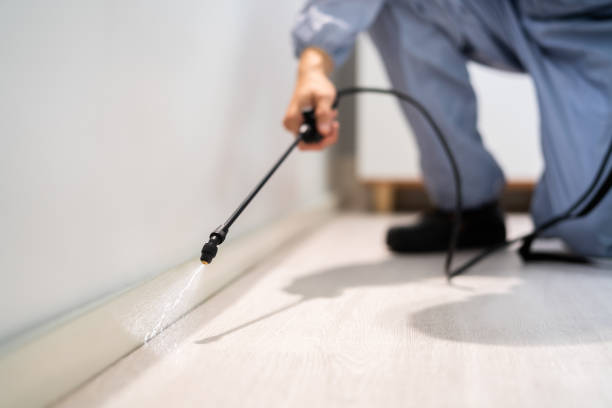 Licensed Fumigation Services service in Fanwood, NJ - Nex Pest Control