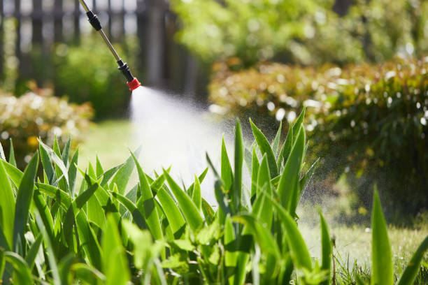 24/7 Emergency Fumigation Services experts in Fanwood, NJ