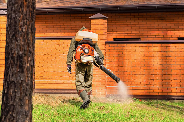Trusted Fumigation Services service in Fanwood, NJ - Nex Pest Control